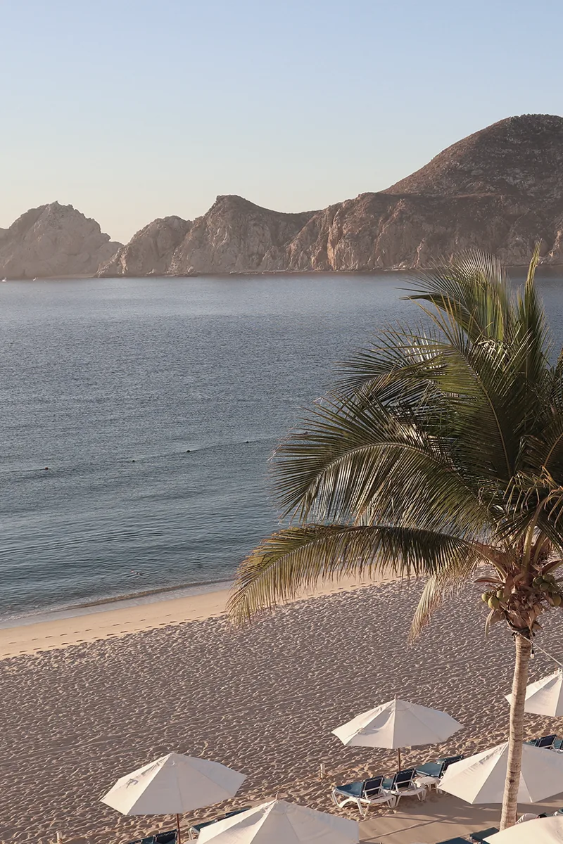 A quiet Los Cabos beach at golden hour, white umbrellas on the sand and the headlands beyond.
